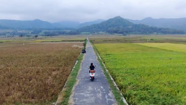 Обратный Вид Человека Шлема Мотоцикле Сельской Дороге Между Рисовыми Полями — стоковое видео