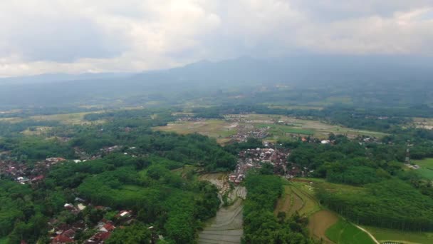 山とGrabag村の雲のインドネシアに包まれた 空中前方 — ストック動画