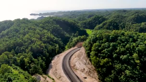 Winding Road Construction Coastline Jungle Indonesia Aerial View — Wideo stockowe