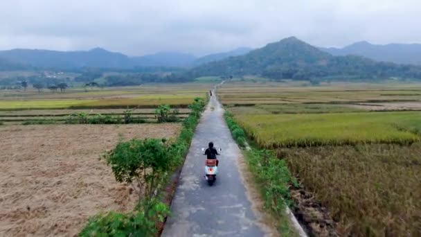 Back View Man Helmet Driving Motorbike Rural Road Rice Fields — Vídeo de stock