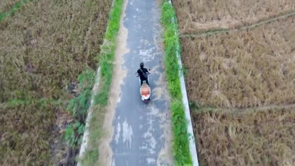 Vista Trasera Del Hombre Conduciendo Motocicleta Zigzag Carretera Rural Entre — Vídeos de Stock