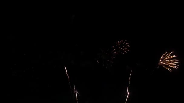 Real Fuegos Artificiales Muestran Celebración Colorido Año Nuevo Fuegos Artificiales — Vídeo de stock