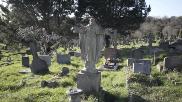 Ford Park Cimetière Gargouille Pierre Tombale Plymouth Royaume Uni — Video