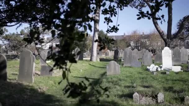 Ford Parque Cementerio Través Del Árbol Cámara Lenta — Vídeos de Stock