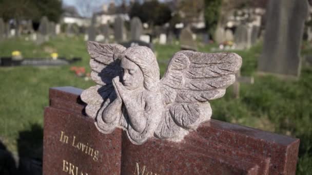 Gargoyle Sulla Lapide Nel Cimitero Del Parco Ford Plymouth Regno — Video Stock