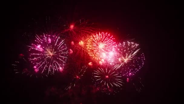 Bellissimo Colorato Reale Continuare Fuochi Artificio Celebrazione Della Vigilia Capodanno — Video Stock