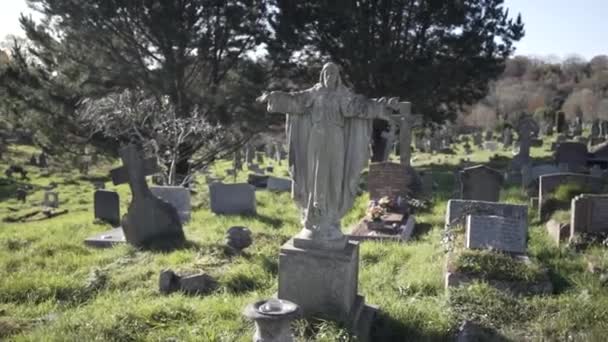 Vista Panorámica Del Cementerio Del Parque Ford Con Estatua Plymouth — Vídeo de stock