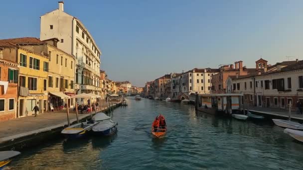 Team Rowers Training Rowing Standing Venetian Traditional Boat Venice Canal — Stockvideo