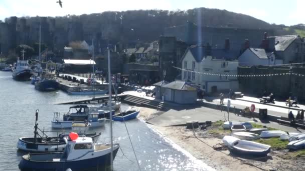 Scenic Welsh Coastal Fishing Market Landmark Castle Town Harbour Ships — 비디오