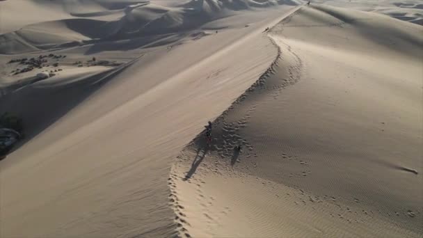 Aerial Orbits Tourists Sand Dune Crest Peruvian Desert Ica — 비디오