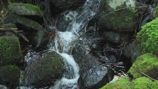 Ein Waldwasserfall Mit Bemoosten Steinen Zeitlupe — Stockvideo