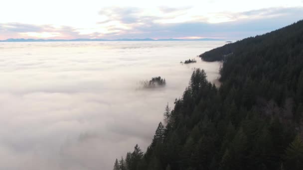 View Canadian Nature Mountain Landscape Covered Cloud Fog West Vancouver — Stock video