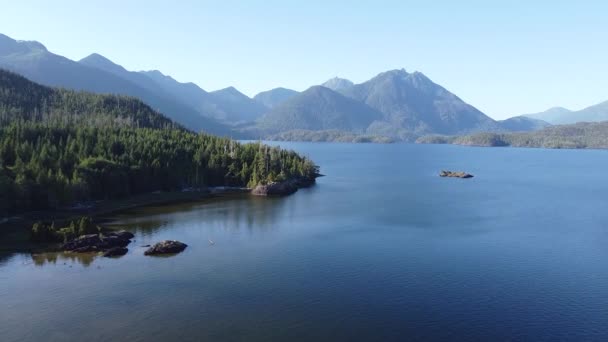 West Coast Pristine Lake Aerial Kennedy Lake Laylee Island Vancouver — Stockvideo