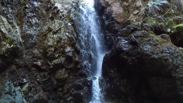 Creek Waterfall Vancouver Island Canada — Vídeos de Stock