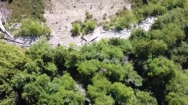 Top Aerial Pristine White Sand Beach Kennedy Lake Laylee Island — Stock videók