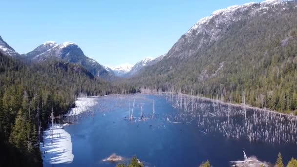 Spire Lake Aerial Snow Vancouver Island Canada — стоковое видео