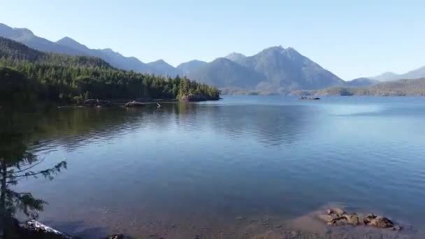 Kennedy Lake Aerial West Coast View Laylee Island Vancouver Island — Stockvideo