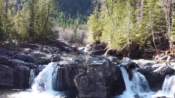 美しい滝 ケネディ川の滝 バンクーバー島 カナダ — ストック動画