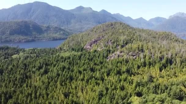 Remote Forest Aerial Kennedy Lake Laylee Island Vancouver Island Canada — Stockvideo