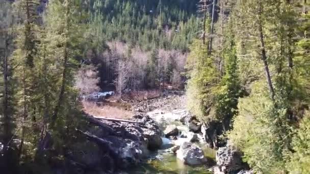 Green Water Kennedy River Falls Waterfall Vancouver Island Canada — Stockvideo