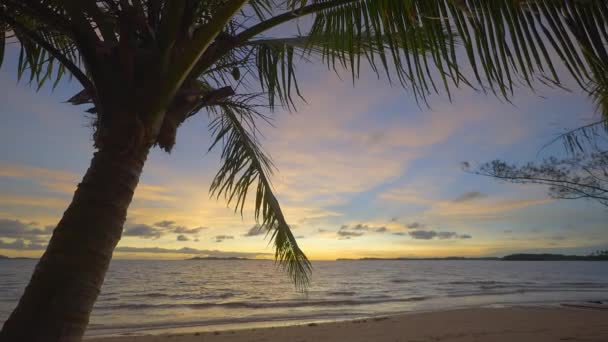 Sonnenuntergang Einem Tropischen Strand Mit Einem Kokospalmen Vordergrund Einige Wolken — Stockvideo