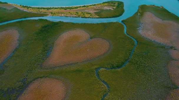 Fly over a field of mangroves that creating a heart shape. Some river flows in between the fields.