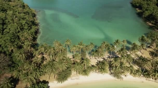 Yavaş Hava Görüntüsü Tropikal Adanın Tepesinden Aşağıya Palmiye Ağaçlarının Olduğu — Stok video