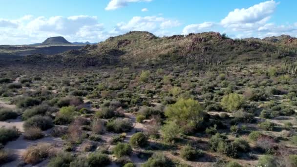 Cactus Desert Floor Aérien Dessus Phoenix Arizona — Video