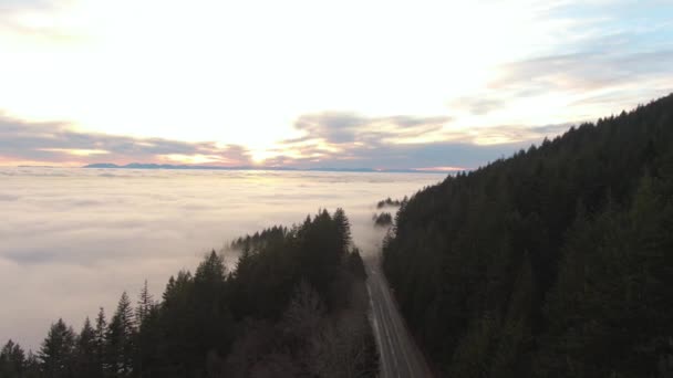 Utsikt Över Kanadensiska Nature Mountain Landskap Täckt Moln Och Dimma — Stockvideo