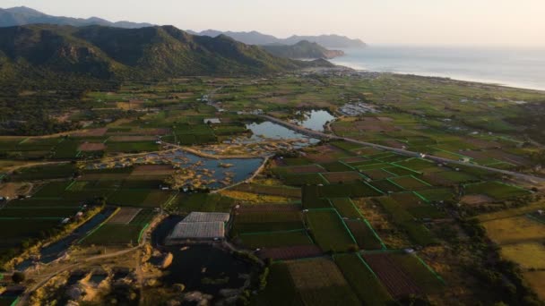 Luftpanorama Weinberg Weinbauernhof Felder Der Meeresküste Während Der Goldenen Stunde — Stockvideo