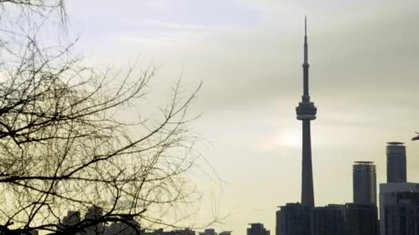 Plane Flies Toronto Cityscape — ストック動画