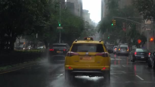 Pov Driving Yellow Taxi Rainy Manhattan New York City — Video