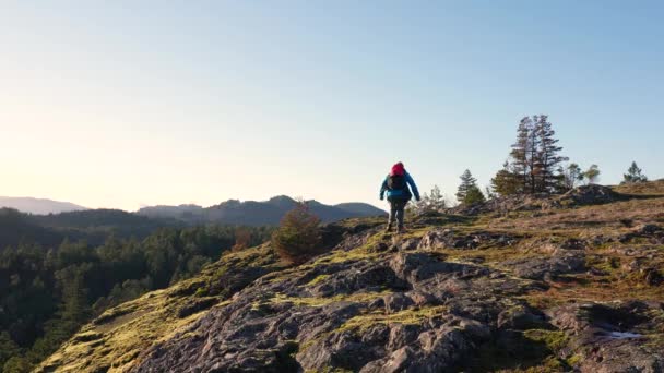 Man Vandrare Rock Bluff Ridge Vancouver Island Kanada Lone Tree — Stockvideo