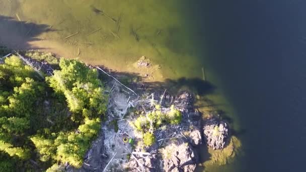 Island Camping Kennedy Lake Laylee Island Vancouver Island Canada — стоковое видео
