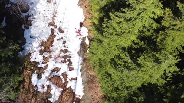 Hombre Senderismo Nieve Por Una Carretera Forestal Isla Vancouver Canadá — Vídeos de Stock