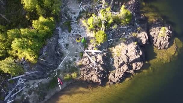 Aerial Remote Camping Lokalizacja Kennedy Lake Laylee Island Vancouver Island — Wideo stockowe