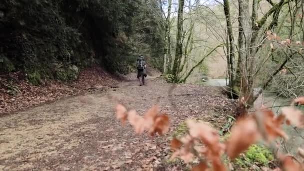 提着背包的人沿河穿过森林 摄像机在他身后移动 4K广角 — 图库视频影像