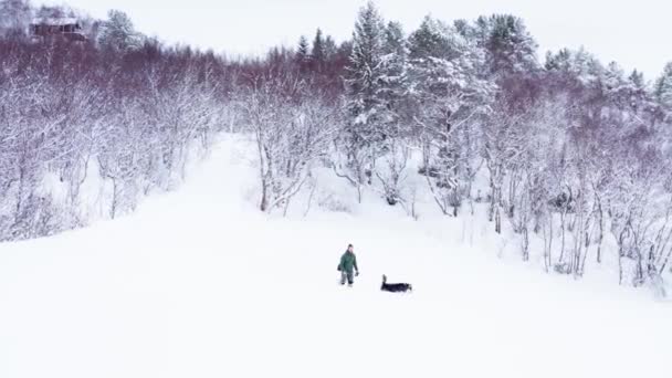 Escursionista Cane Piedi Attraverso Spessa Neve Invernale Nella Foresta Indre — Video Stock