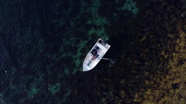 Άτομο Rowing Boat Middle Clear Body Water Indre Fosen Norway — Αρχείο Βίντεο