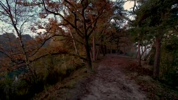 Steady Forward Movement Showing Pathway Peninsula Ijzeren Man Lake Colorful — Stock videók