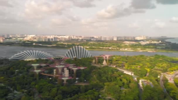 Drone Aerial View Footage Gardens Bay Flying Skyline Singapore Затока — стокове відео