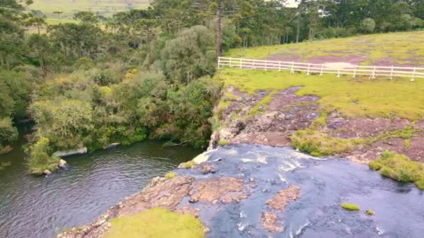 Cachoeira Área Rural Com Rochas Musgosas Muitos Verdes Árvores Filmagem — Vídeo de Stock
