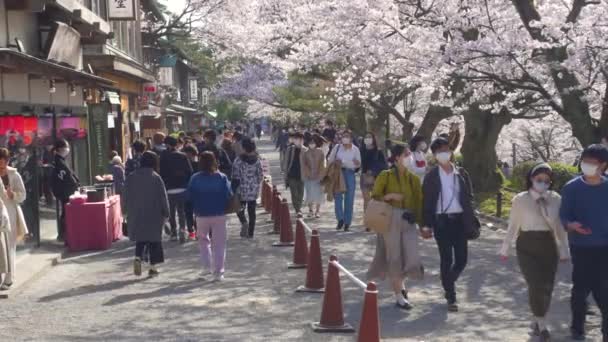 在日本神奈川市 蒙面日本人在美丽的樱花树下行走 沿着只有行人才能走的街道与传统的日本商店同行时被枪杀 — 图库视频影像