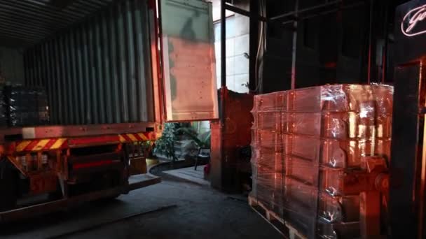 Logistiek Transport Van Container Vrachtschip Vrachtvliegtuig Met Werkende Kraanbrug Scheepswerf — Stockvideo