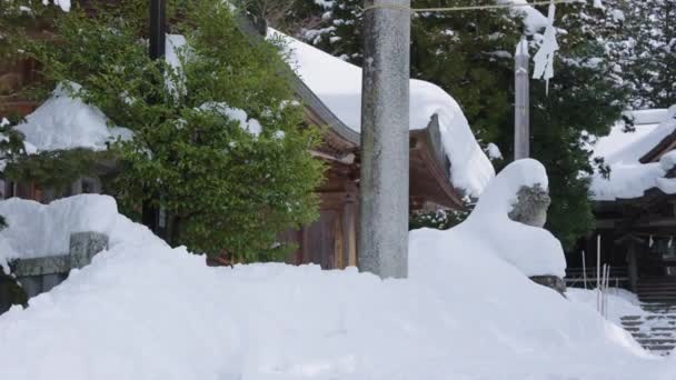 Japanska Amagawa Helgedom Täckt Snö Vinter Nagano Scen — Stockvideo