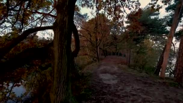 Ijzeren Man Gölü Ndeki Yarımadada Turuncu Gölgelerin Rengarenk Gündoğumu Sonbahar — Stok video