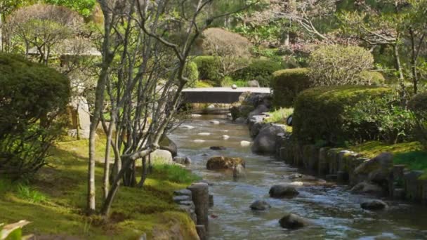 Shot Soft Flowing Stream Stone Bridge Background Kenrokuen Garden Kanazawa — Αρχείο Βίντεο