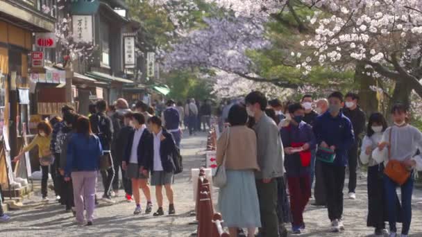 Tourists Students Walking Blooming Sakura Trees Pedestrian Only Street Traditional — стоковое видео