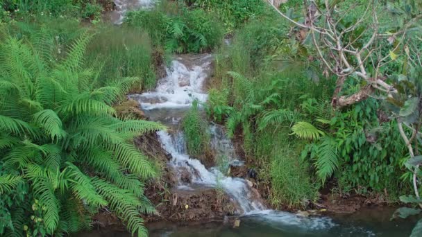Vodopády Podél Hor Přirozeně Obtékají Zelenou Plochu Zpomalení — Stock video