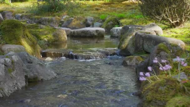 Skott Grunt Mjukt Strömmande Över Klippor Vid Kenrokuen Garden Kanazawa — Stockvideo